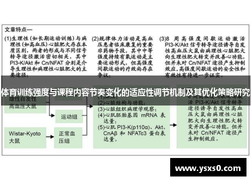 体育训练强度与课程内容节奏变化的适应性调节机制及其优化策略研究